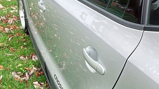 WhatsApp Image 2026-01-01 at 10.48.18 PM (1)