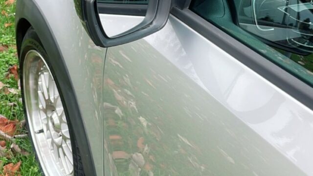 WhatsApp Image 2026-01-01 at 10.48.24 PM